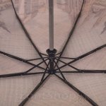 Зонт женский Zest 23745 11654 Европа 19 век