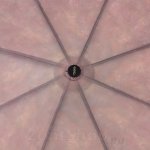 Зонт женский Три Слона 880 12606 Розовые пионы