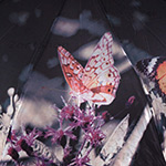Зонт женский MAGIC RAIN 4333 11297 Оранжевые бабочки (сатин)