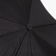 Зонт мужской Zest 42540 Черный