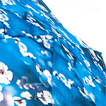 Зонт женский Zest 23955 73 Сакура голубая