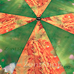 Зонт AMEYOKE OK58-PCS (6875) Ромашки и бабочки