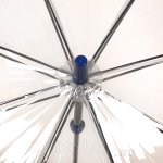 Зонт трость женский прозрачный Fulton L787 3017 Голубой бордюр (UPF 50+)