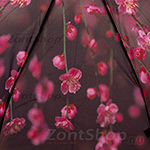 Зонт женский Zest 24985 4422 Цветущая вишня
