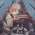 Зонт женский MAGIC RAIN 7251 11348 Парижская осень
