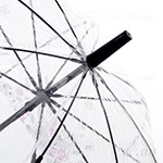 Зонт трость женский прозрачный Zest 51570 7773 Листочки