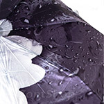 Зонт женский Trust 30471 (9092) Ромашка под дождем (сатин)
