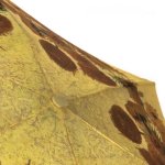 Зонт женский легкий мини Fulton L794 2348 (National Gallery) Подсолнухи В.Гог