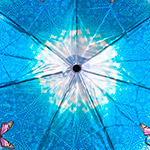 Зонт женский Три Слона 360 (D) 9217 Сапфировые бабочки (сатин)