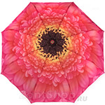 Зонт женский Три Слона 115 (D) 10311 Нежно розовый (Цветочная Серия)