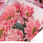 Зонт AMEYOKE OK58 (photo-1) Розовые герберы