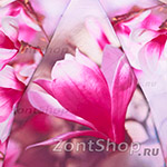 Зонт женский Zest 24665 6038 Цветок сакуры