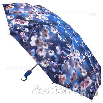 Женский компактный зонт Zest 24755