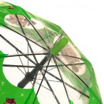 Зонт детский прозрачный Torm 14801 13095 Аниме зеленый