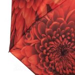 Зонт женский Monsoon M8019 15721 Оранжевые Хризантемы