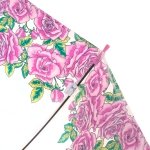Зонт трость женский прозрачный Fulton L042 3545 Розы
