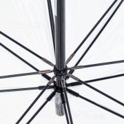 Зонт трость женский прозрачный Fulton L042 4252 Гусиная лапка