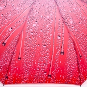 Зонт женский Amico 1115 16087 Капли Красный