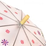 Зонт детский Torm 14805 13156 Застенчивая девочка полупрозрачный