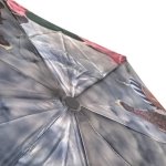 Зонт женский DripDrop 974 14486 Собор Покрова (сатин)