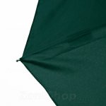 Зонт женский Lantana 3006 (15694) Зеленый
