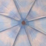 Зонт женский LAMBERTI 73755 (13909) Чикаго