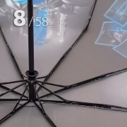 Зонт Три Слона L-3835 (V) 18379 Москва (сатин)