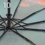 Зонт Три Слона L-3102 (H) 18785 Маки (сатин)