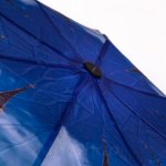 Зонт женский Monsoon M8018 (15610) Лондон Биг-Бен (Башня Елизаветы)