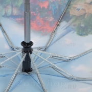 Зонт Nex 34925 (17522) Уорикшир.Англия.