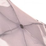 Мини зонт облегченный LAMBERTI 75116-1817 (13649) Рождение нового дня