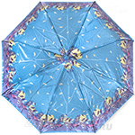 Зонт женский ArtRain 3914 (10524) Настроение осени (сатин)