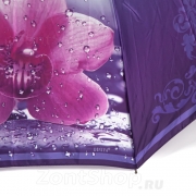 Зонт женский Diniya 2732 (17658) Орхидея (сатин)