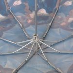 Зонт женский Fulton L849 3419 (National Gallery) Зонтики П.Ренуар
