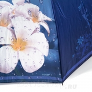 Зонт женский Diniya 2732 17657 Жасмин (сатин)