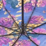 Зонт женский DripDrop 975 14525 Музыка весны