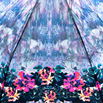 Зонт женский Три Слона L3880 8499 Цветочный кант (сатин)