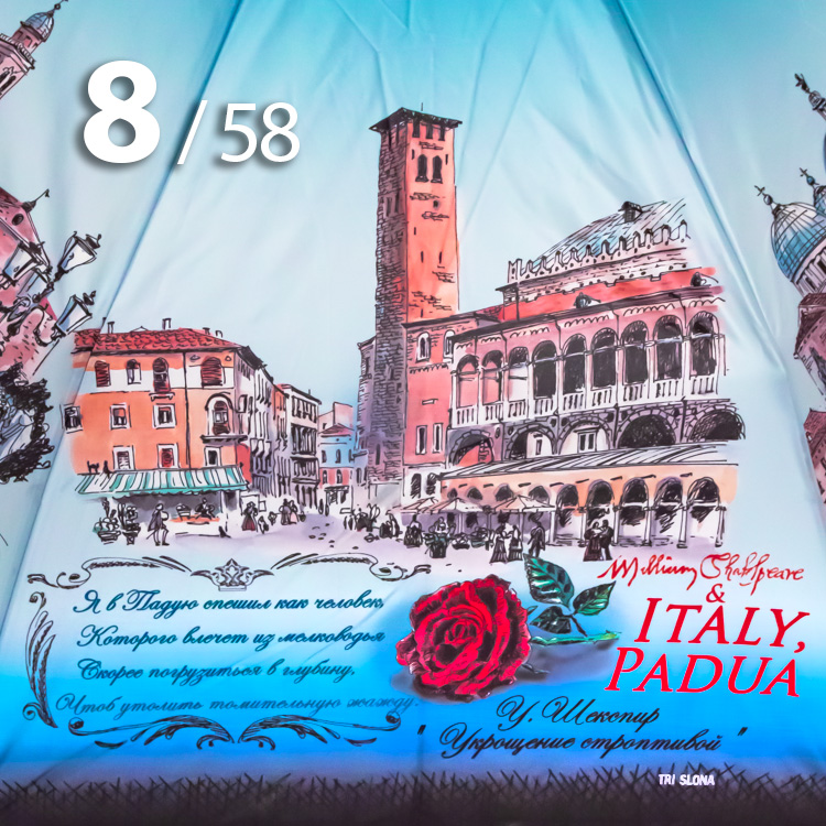 Зонт Три Слона L-3833 (D) 18046 Падуя Италия