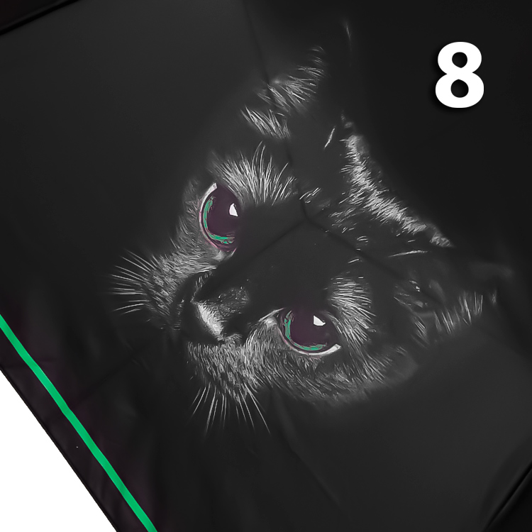 Зонт Три Слона L-3870 (A) 18822 Кошка зеленая кайма