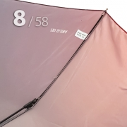 Зонт Три Слона L-3825 (N) 18526 Красные хризантемы (сатин)