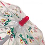 Зонт детский прозрачный Fulton Cath Kidston C723 3573 Нежные розочки