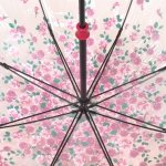 Зонт трость женский прозрачный Fulton L042 3728 Бутон Розы