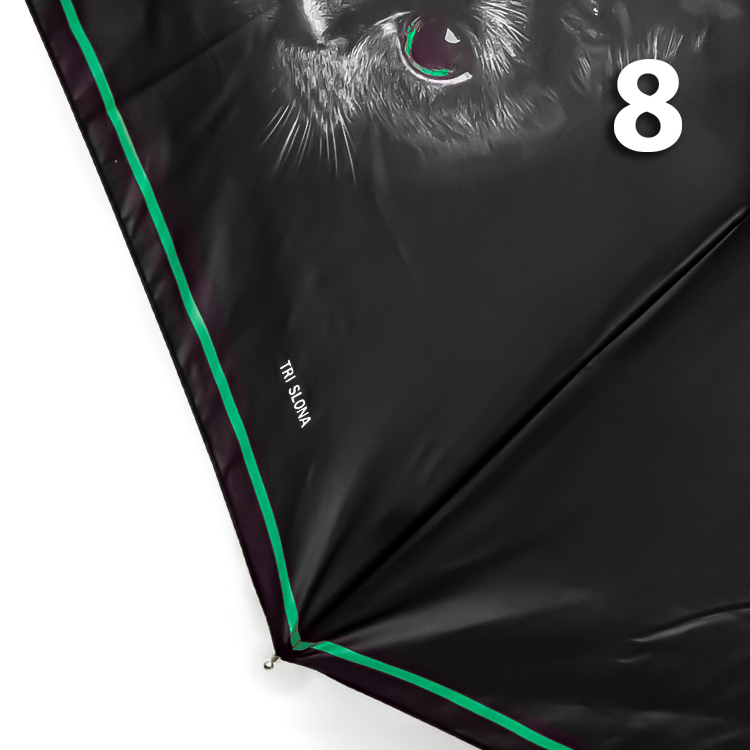 Зонт Три Слона L-3870 (A) 18822 Кошка зеленая кайма