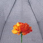 Зонт женский Airton 3511 8976 Серый Роза