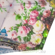 Мини зонт облегченный LAMBERTI 75116-1858 (17153) Санкт-Петербург Мост Ломоносова