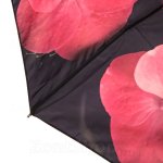Зонт женский Monsoon M8019 (15723) Патриция