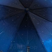 Зонт женский Три Слона L3882 15848 Ночное отражение (сатин)