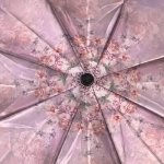Зонт женский Три Слона L3880 14709 Цветочное небо (сатин)