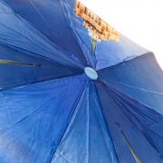 Зонт женский Amico 1310 16351 Москва Высотка (сатин)