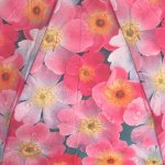 Зонт женский Monsoon M8019 15719 Розовое утро